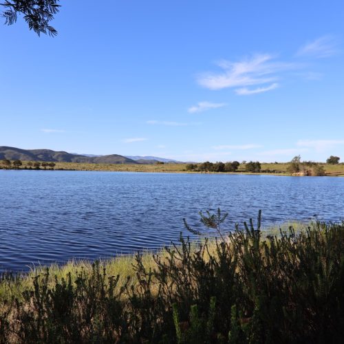 2W5A8826 Die Klubhuis Outdoor Nature experience dams image 3