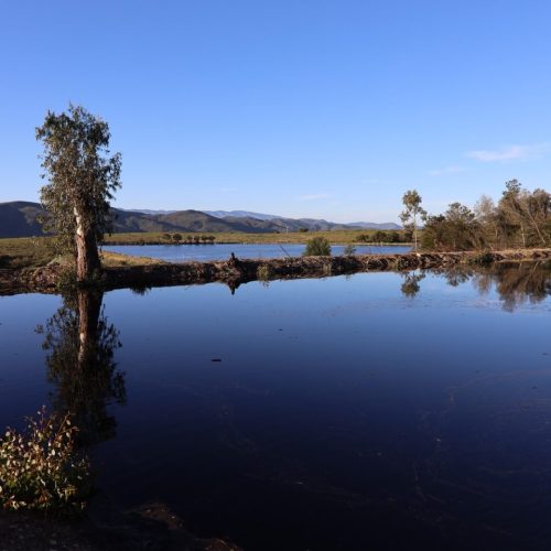 2W5A8863 Die Klubhuis Outdoor Nature experience dams image 4
